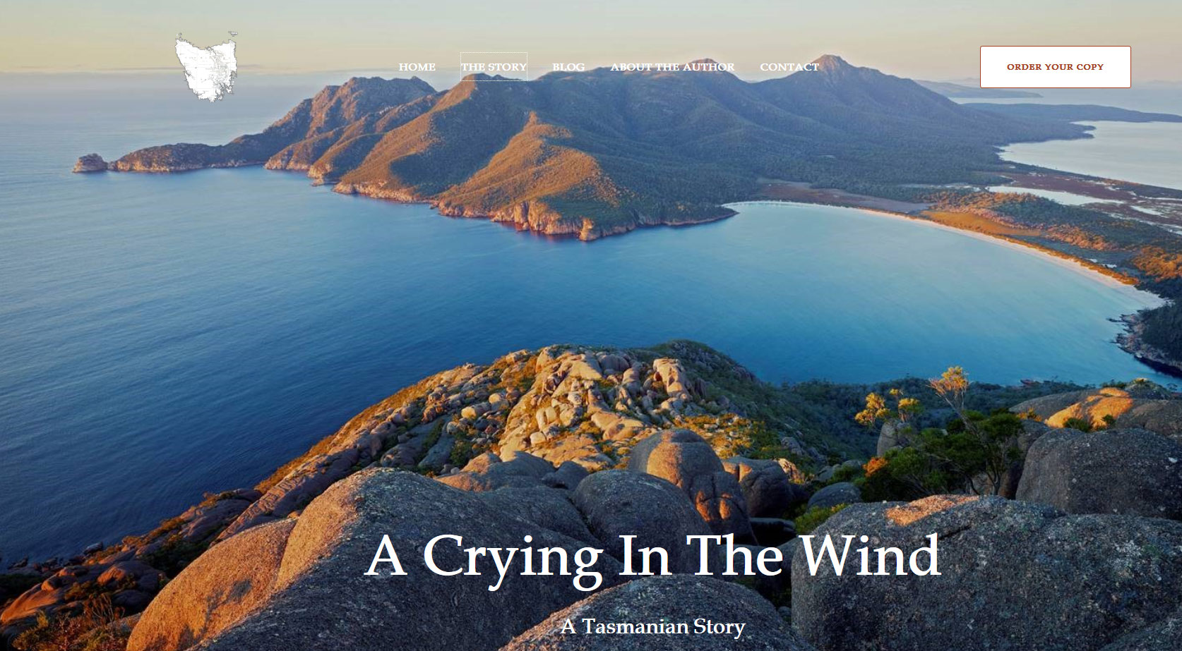 Crying Wind A Crying in the Wind - Resilience Marketing